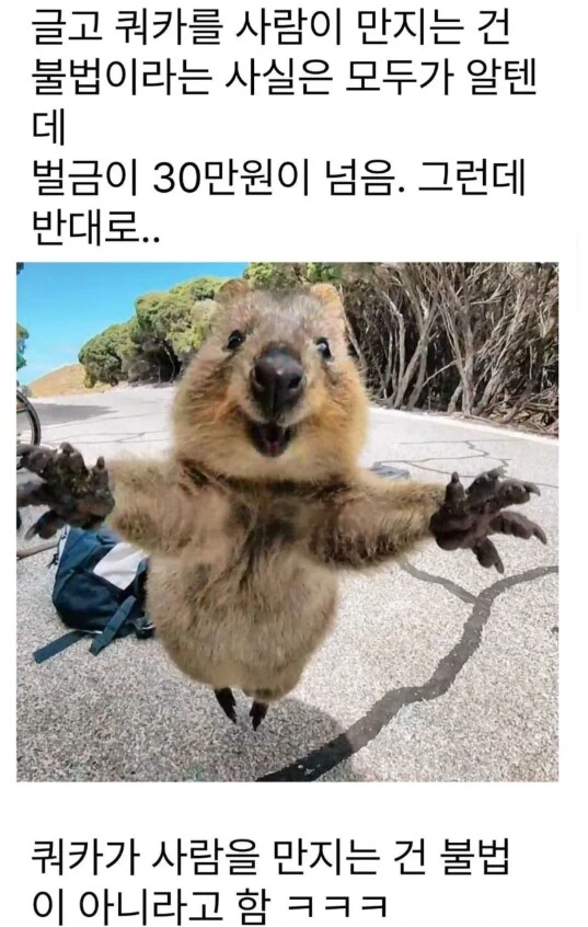 리제로]색욕 피셜 ㅇㅎ 몸매 이미지 2