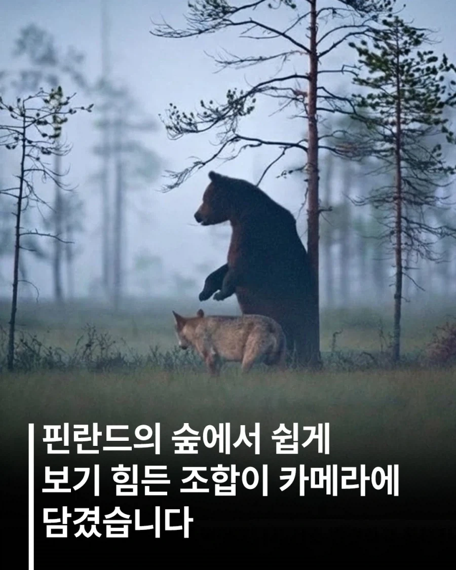이 분 갑자기 왜 흑화?? 이미지 2