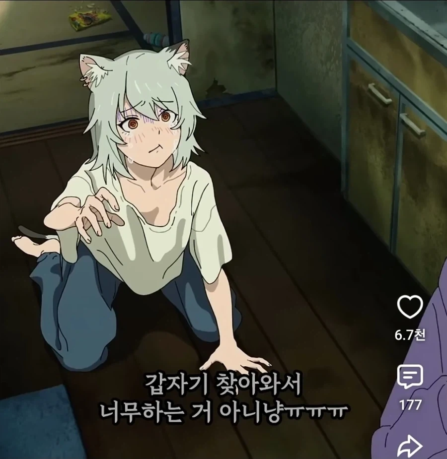 담배 고양이는 쇼츠로만 봤는데_2.webp