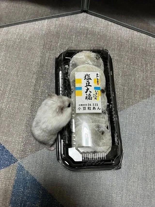 주식) 고전명작은 다시봐도 명작.. 대표 이미지