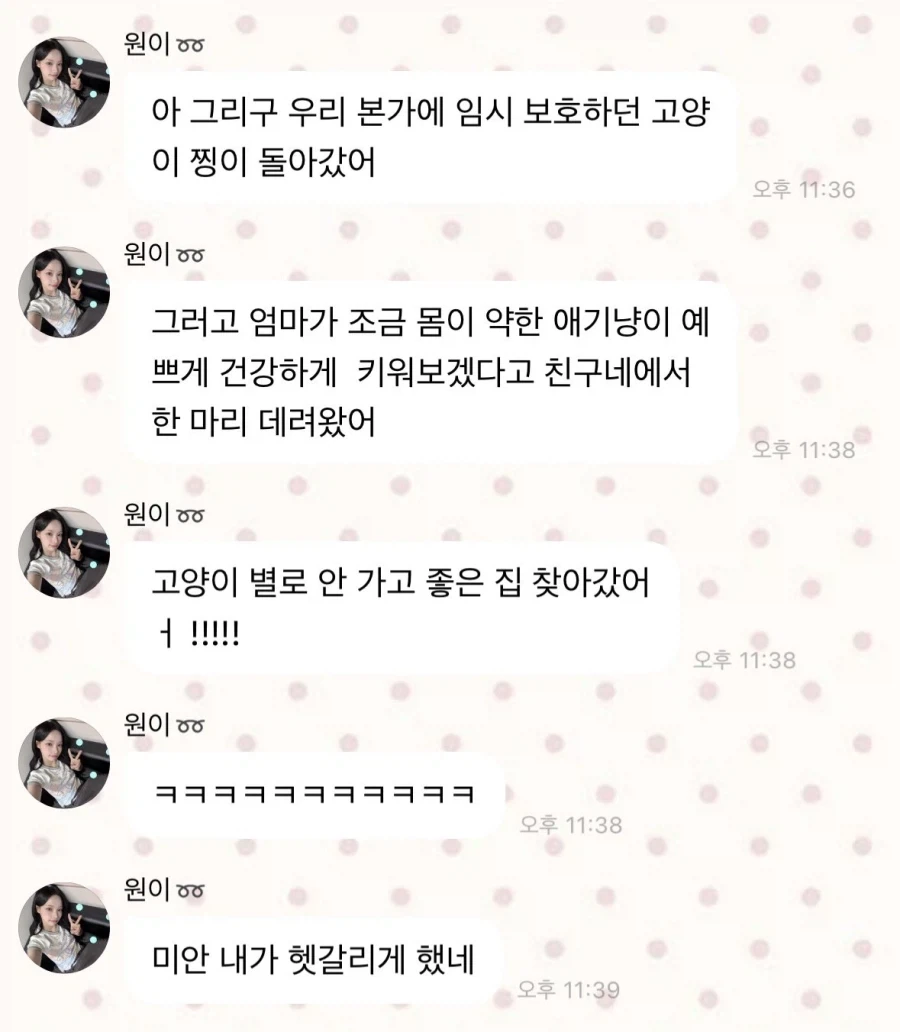 넷플릭스엔 소녀종말여행이 없네 대표 이미지