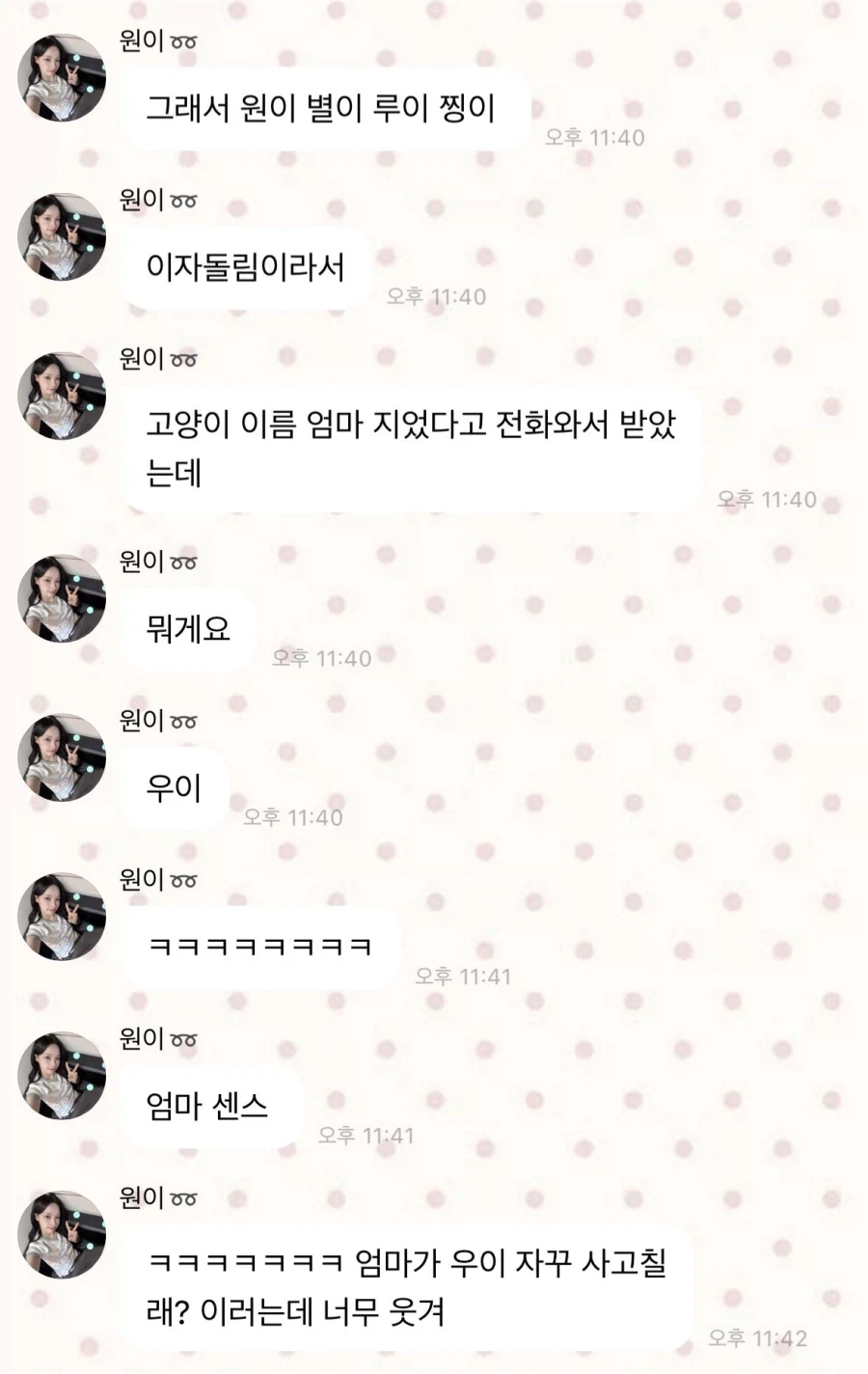 리센느) 원이 고양이