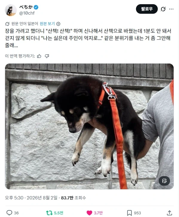 스파이더맨)"물린게 주식이 아니라 거미라 참 다행이야" 대표 이미지