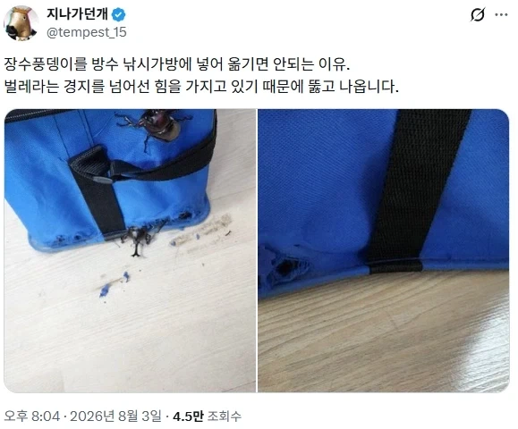 유능(?)한 변호사 대표 이미지