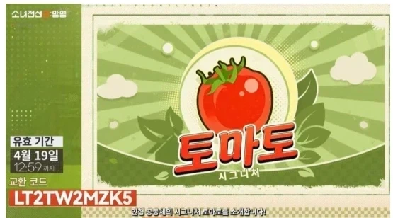 소전2에서 주인공이 토마토 대왕 소리 듣는 이유_1.webp