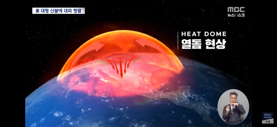 "내 마누라가 시골에서 제일 이뻤어." 자랑하는 어르신 이미지 6