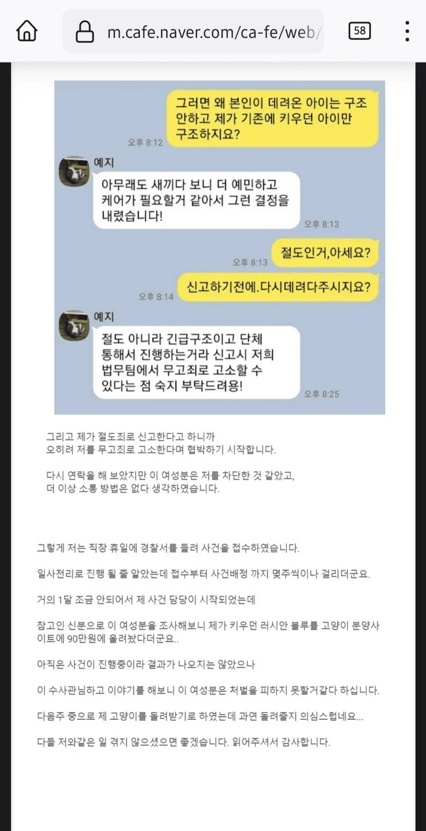 캣맘이 입양보내고 집비번을 달라하는 이유_3.webp