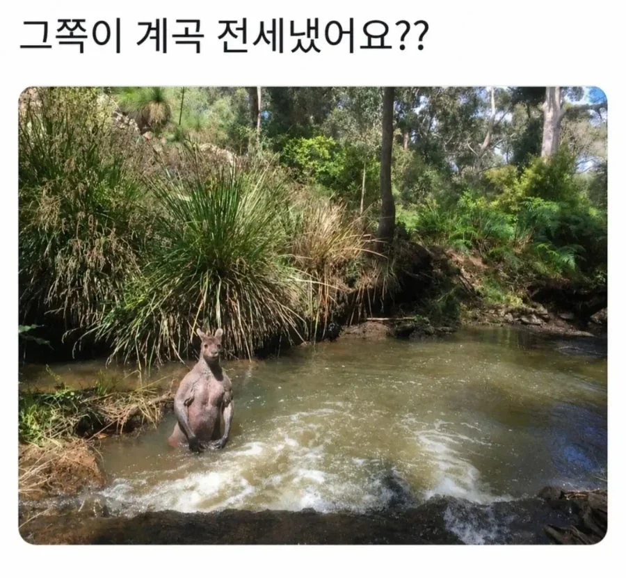 커피 사주면서 남친있냐고 추근대는 상사.jpg 대표 이미지