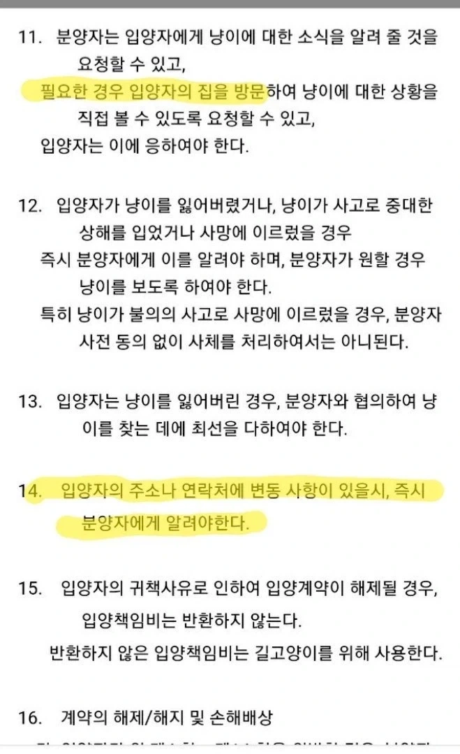 들고양이 길터리 계약서 쿨이 돌았구나.._3.webp
