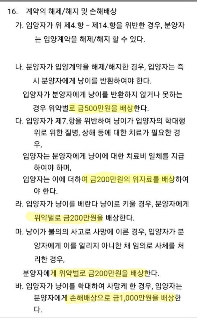 들고양이 길터리 계약서 쿨이 돌았구나.._4.webp