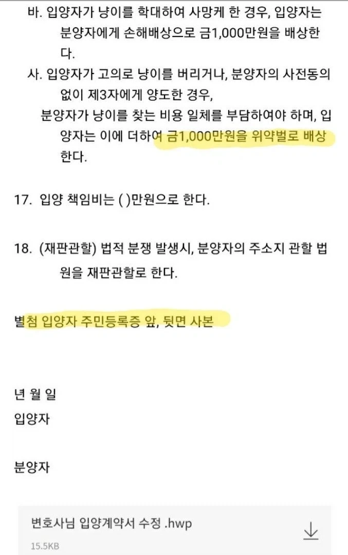 들고양이 길터리 계약서 쿨이 돌았구나.._5.webp