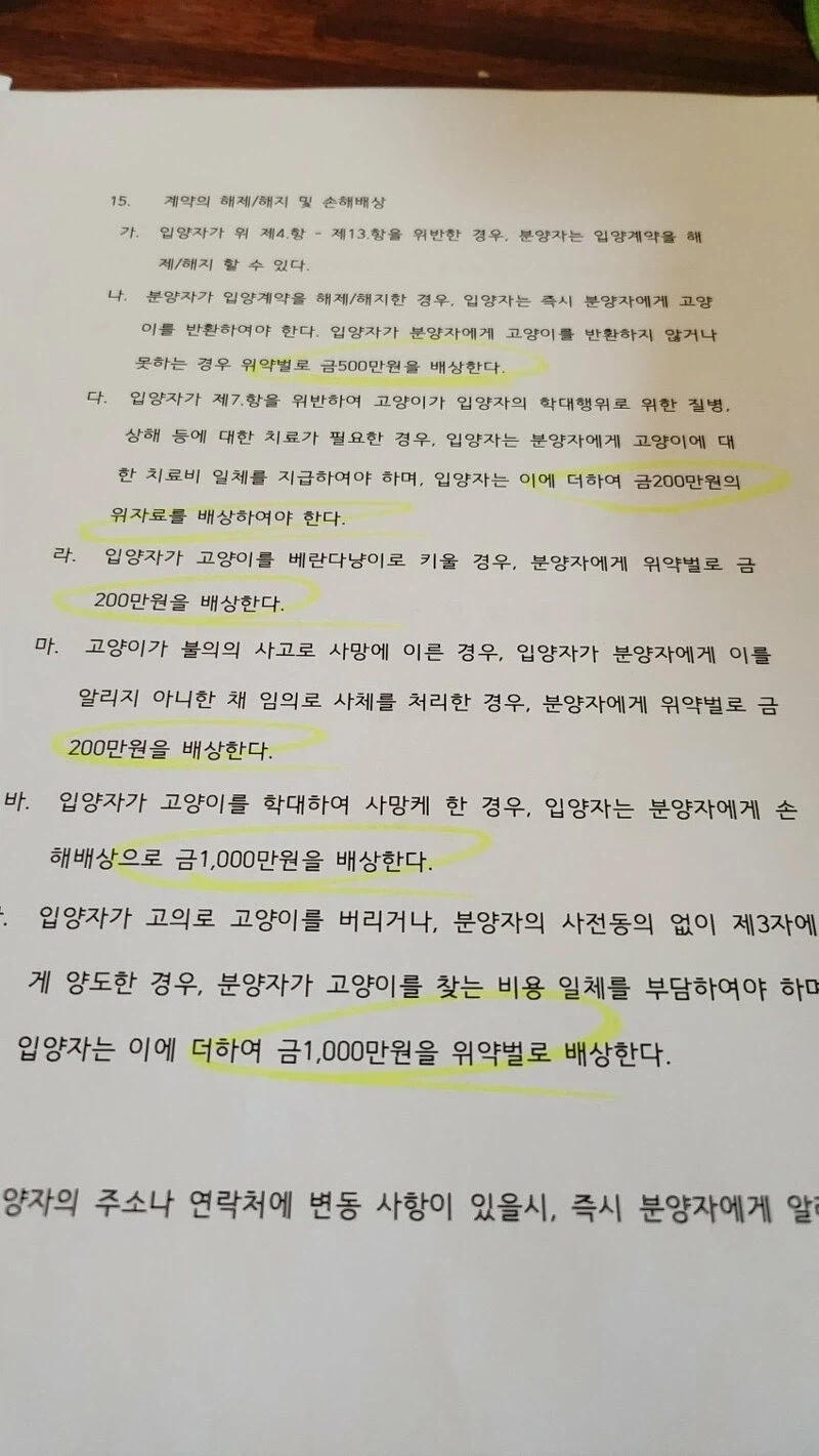 들고양이 길터리 계약서 쿨이 돌았구나.._6.webp