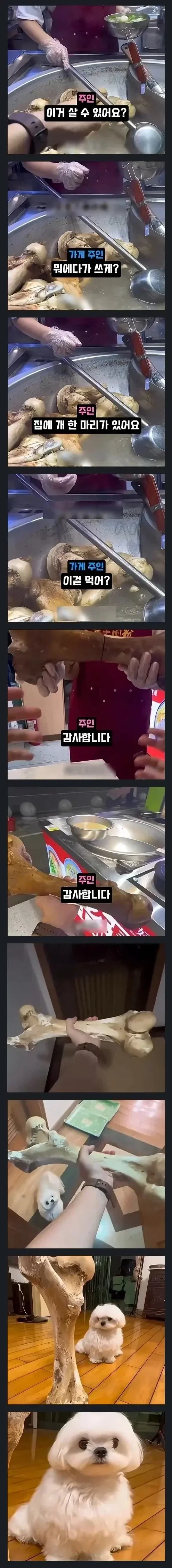 잠깐! 당신 방금 내 가슴 훔쳐봤지! 이미지 2
