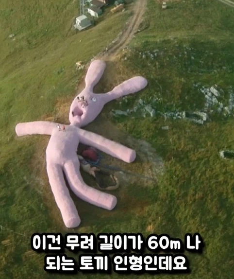 산책 나옴.jpe 이미지 3