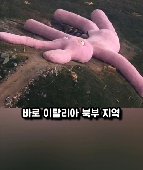 구글 어스에 찍힌 거대 인형 토끼.jpg_2.webp