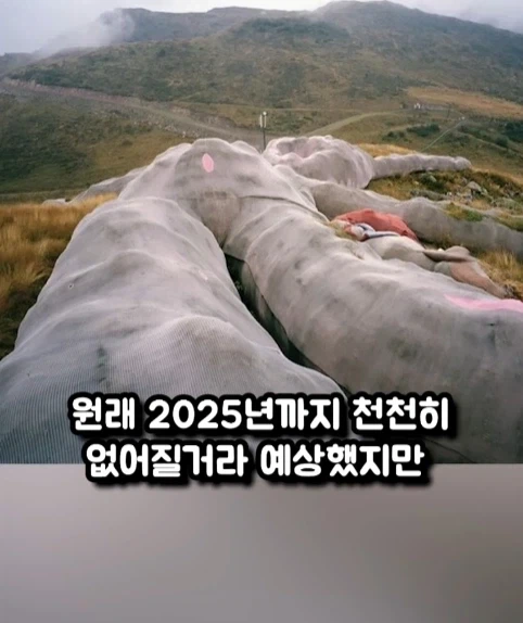 구글 어스에 찍힌 거대 인형 토끼.jpg_11.webp