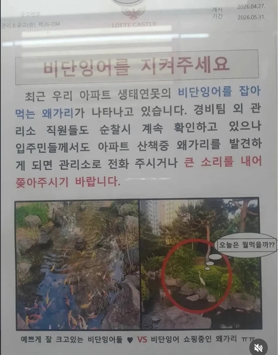 해외에서 한복이 한국 전통 의상으로 통하는 이유.jpg 이미지 2