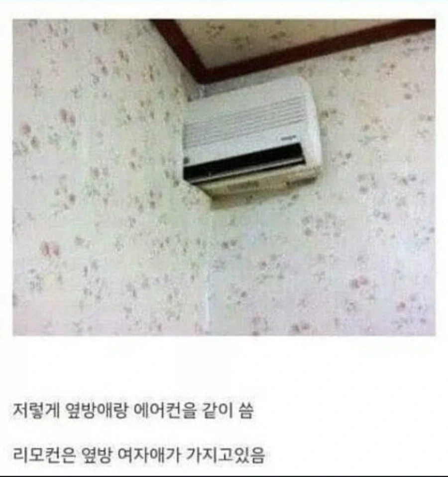 헐리웃 배우들이 인정한 만능식품.jpg 이미지 4
