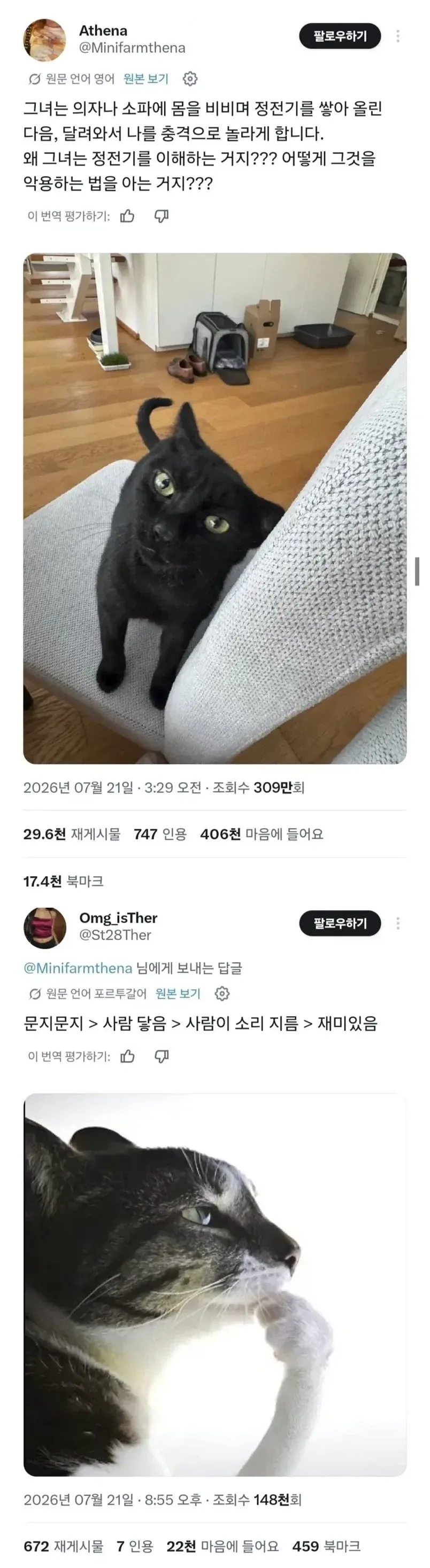헐리웃 배우들이 인정한 만능식품.jpg 이미지 3