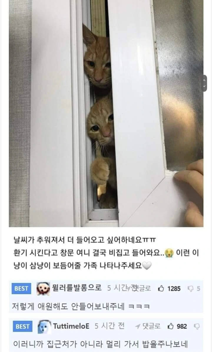 고증으로 거품무는 사람들이 보면 좋은거 이미지 2