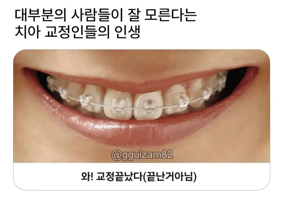 의외로 순수 한자어가 아닌 것 이미지 3