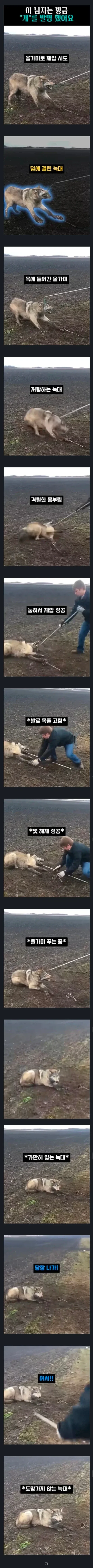 4년째 관찰 중인 여미새 트레이너.jpg 대표 이미지