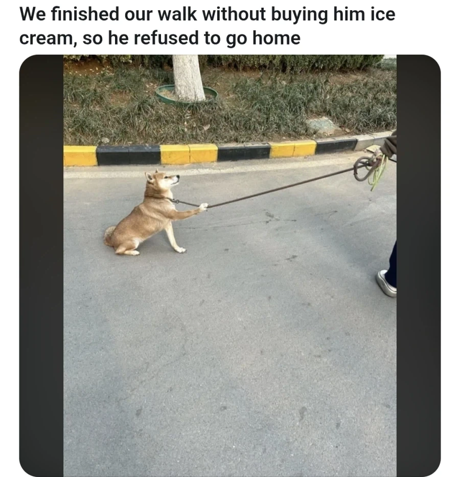 "저기...자?" 이미지 2