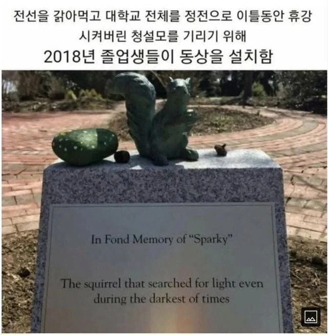 하시모토 간나, 촬영중에 경찰이 왔다고 밝혀 이미지 3
