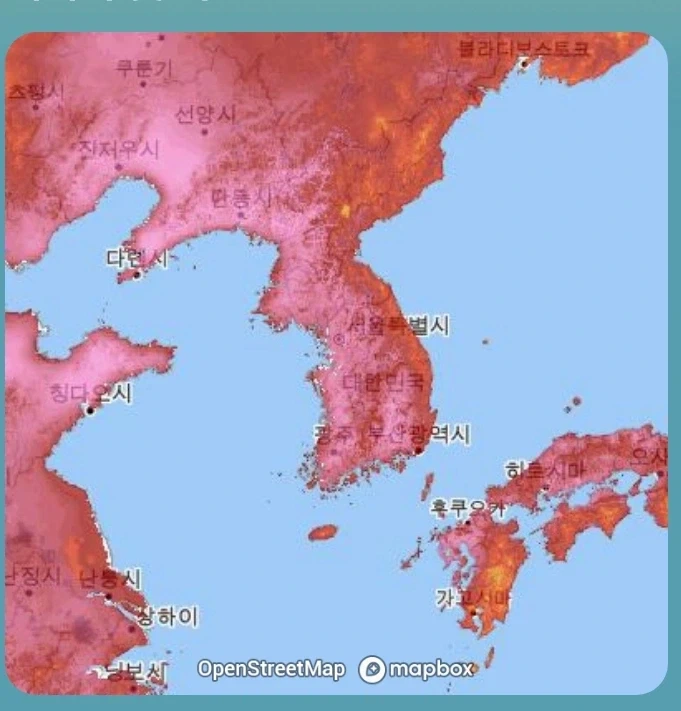 사람과 몸의 털분쟁 대표 이미지