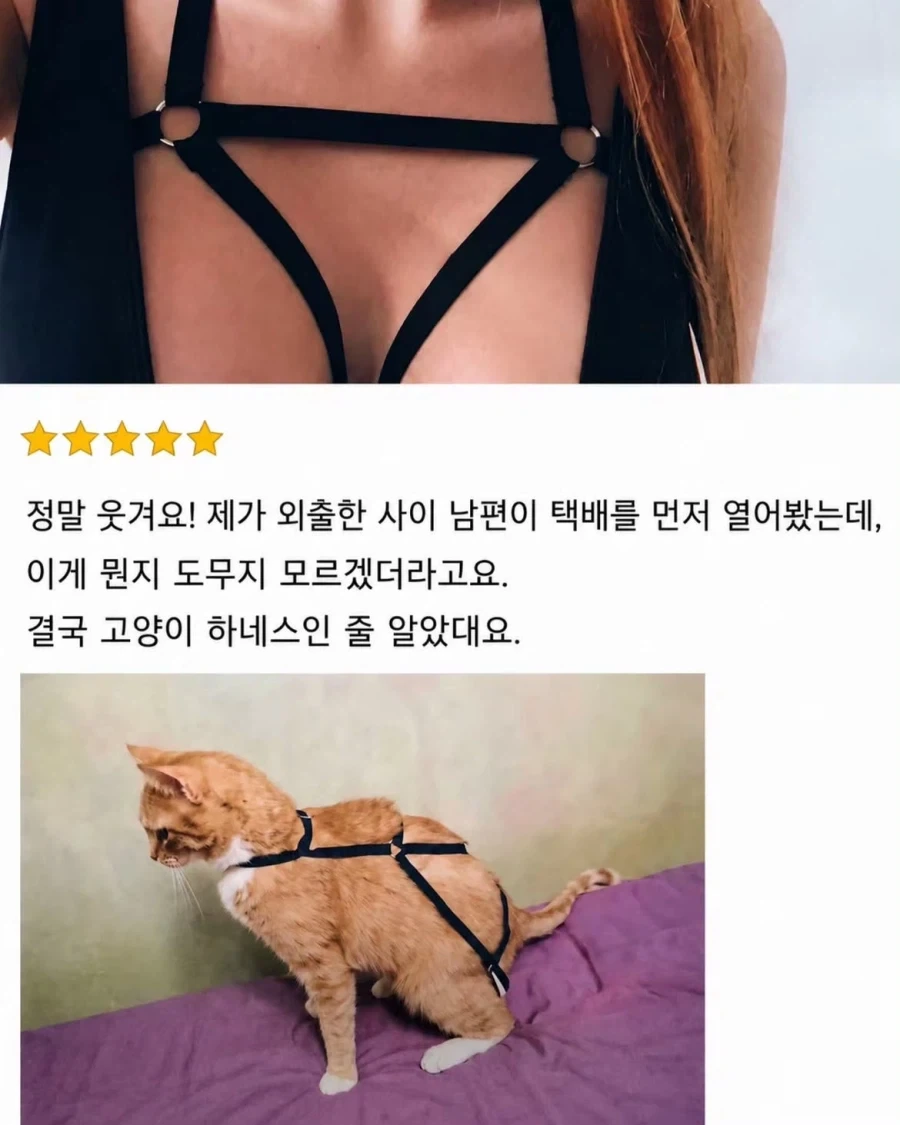 스타)스타1에서 2로 넘어오면서 떡상한 종족 이미지 10