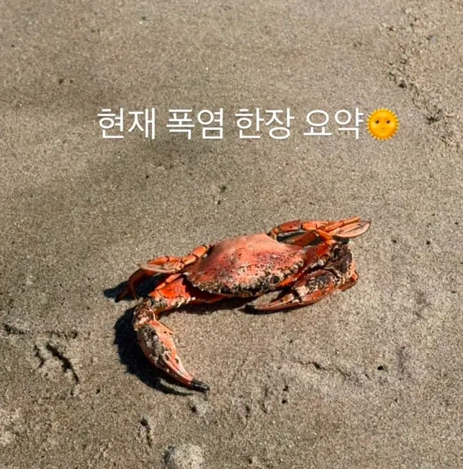 국내 굿즈샵에 존재하는 정체불명의 버튼.jpg 대표 이미지
