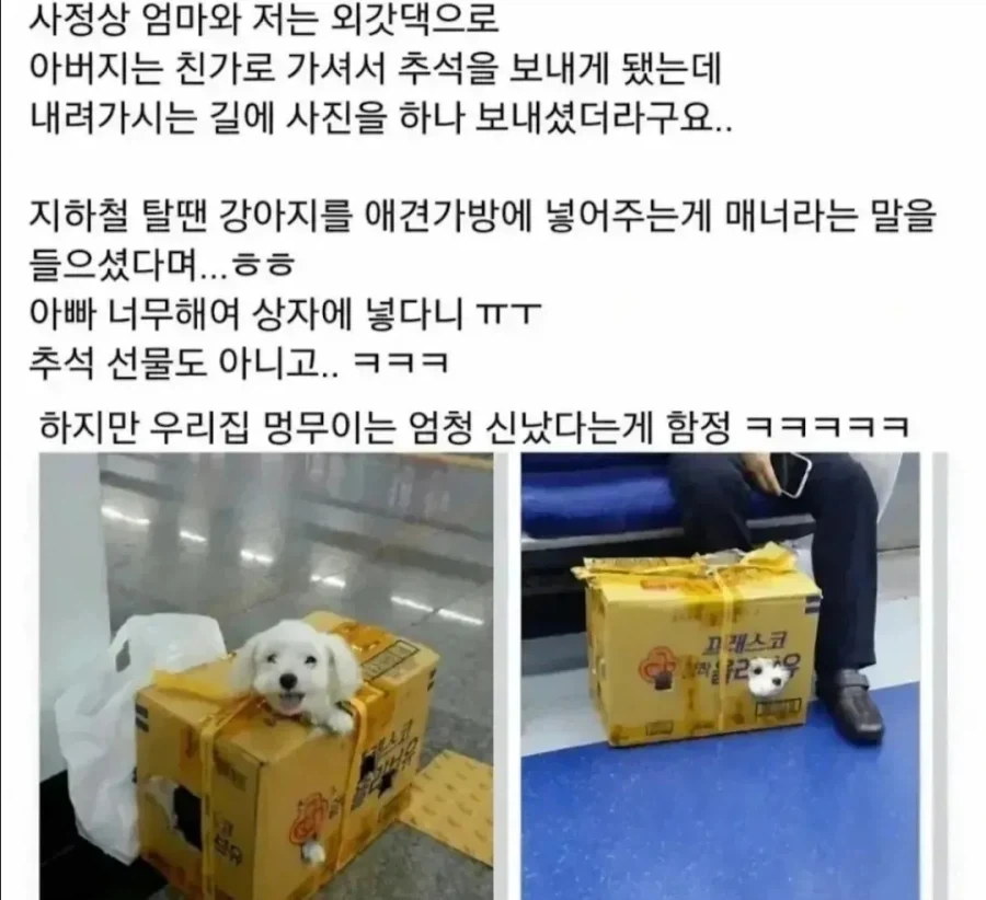 [영화] "쌀의 소중함을 강조하는 영화." 대표 이미지