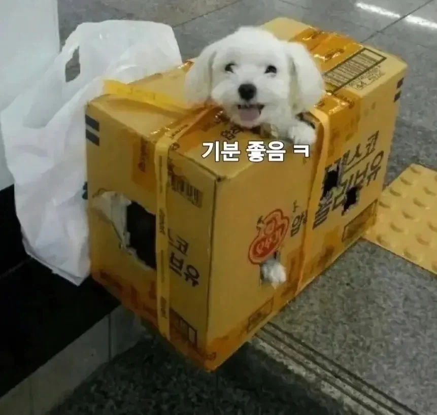 추석 보내러 가는 댕댕이.jpg_3.webp