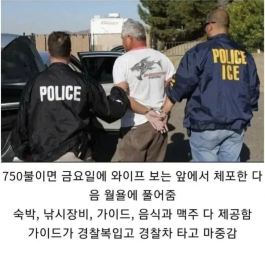 돌핀 쫄보쉑 대표 이미지