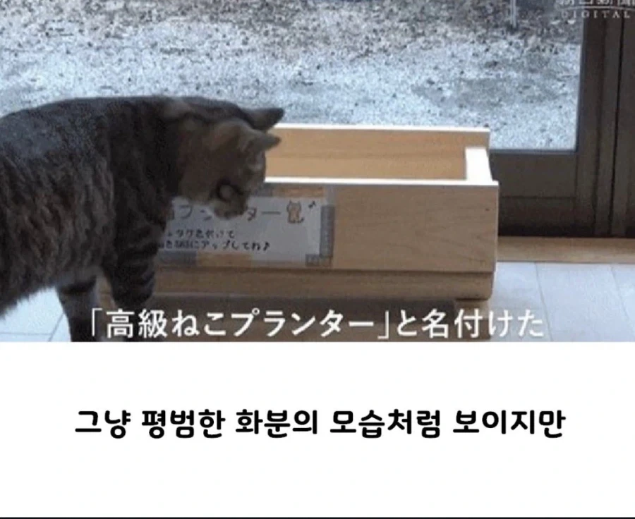 삼국지)창작물 마다 관우가 유능하게 나오는 이유 대표 이미지