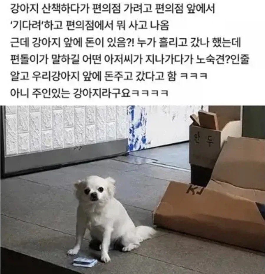일본 총리의 애도 방법 이미지 2