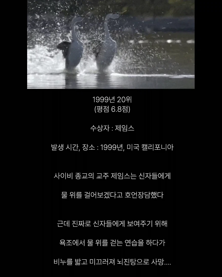 세상에서 가장 어이없는 죽음들.jpg_9.webp
