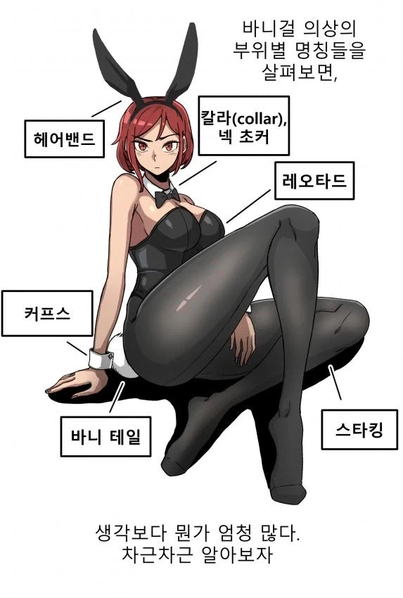 바니걸에 대해 알아보는 만화_5.webp