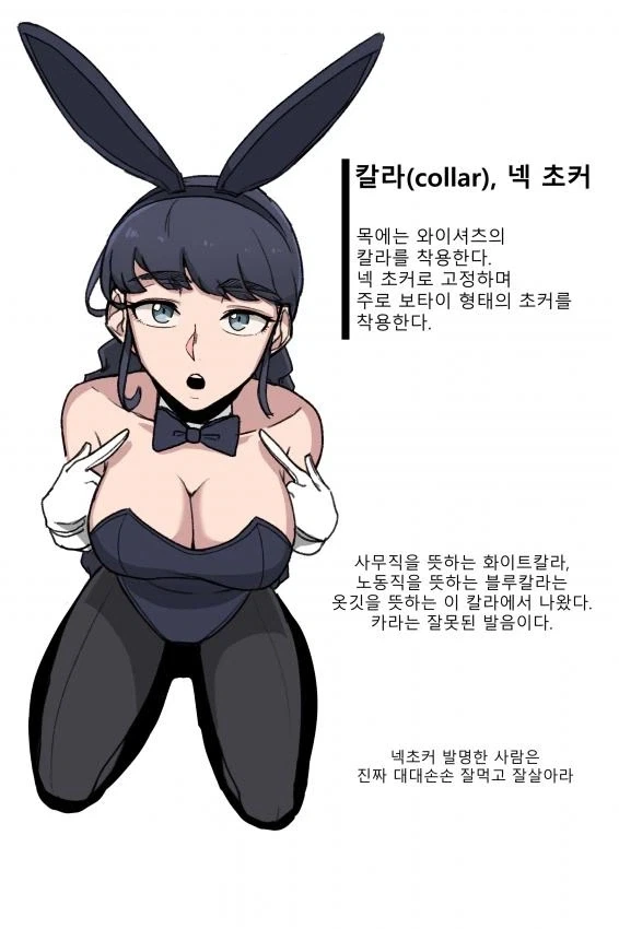 바니걸에 대해 알아보는 만화_7.webp