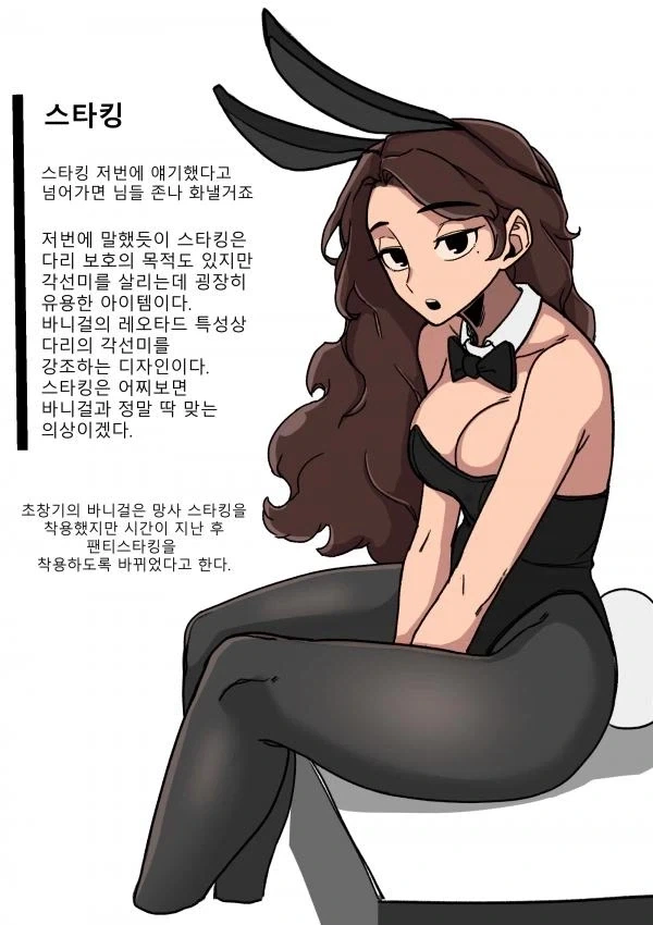 바니걸에 대해 알아보는 만화_16.webp