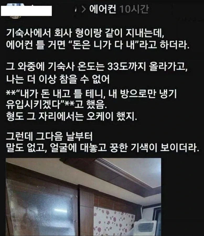 늑대의 뱃속 대표 이미지