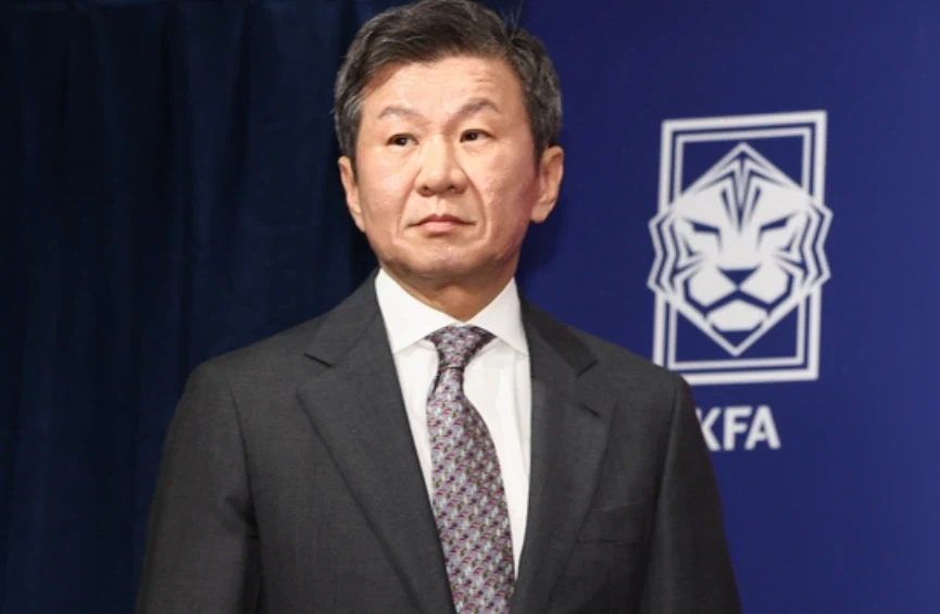 일본 서브컬쳐굿즈시장에서 좀 유명해진 43억엔의 여자 이미지 3