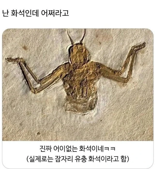 MCU) 스파이더맨 미췬놈들 아니야 ㅋㅋㅋㅋ 이미지 4