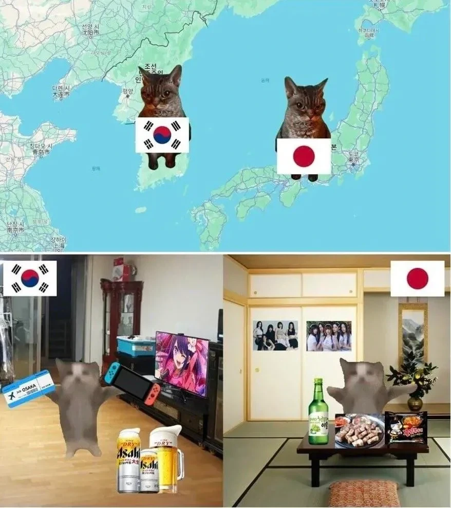 세상에서 가장 어이없는 죽음들.jpg 이미지 3