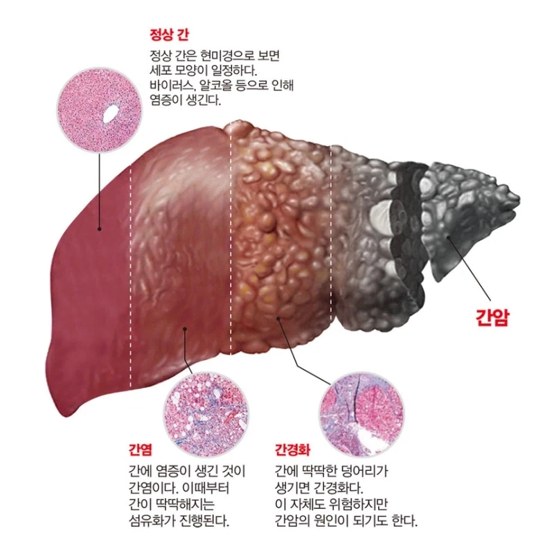 트럼프 ＇이란전 무기고갈＇ 국방장관 질책 이미지 6