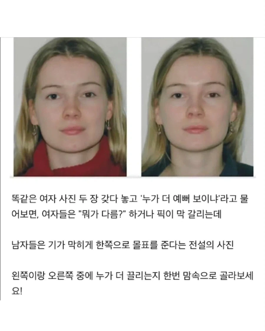 스테비아 토마토는 농산물이 아닌 가공 식품입니다 이미지 5
