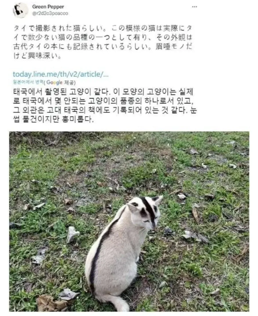 안경은 가장 완벽한 악세사리이며 대표 이미지