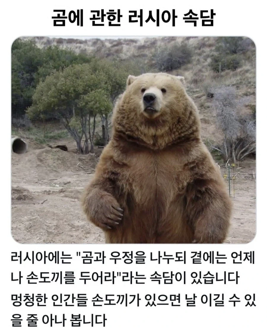 올여름 최고의 휴양지.jpg 대표 이미지