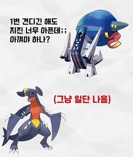 의외로 포켓몬배틀에서 개근하는 포켓몬_2.webp