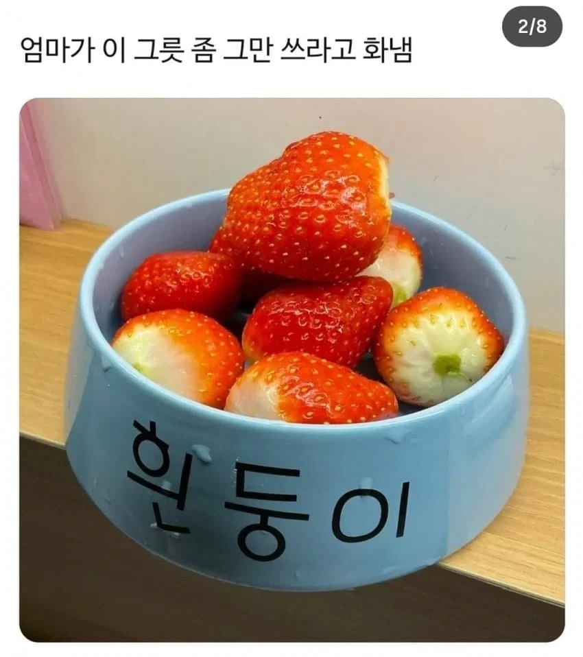 축협) 그만 까면 안되나요..... 이미지 3